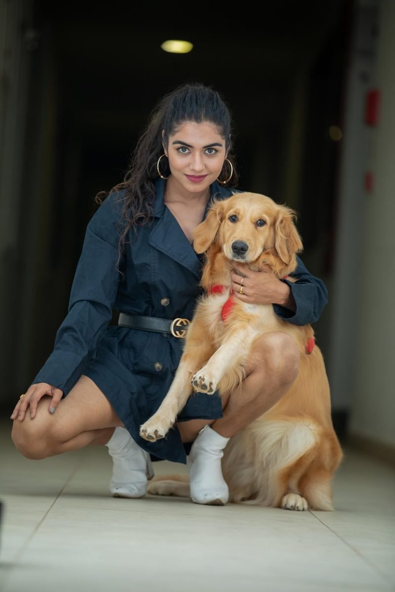 dog, woman, pet, pet love, nature, portrait, canine, animal